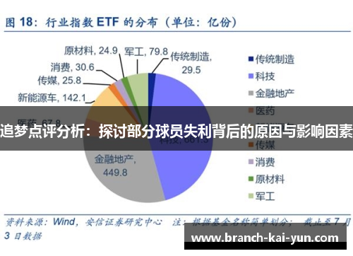 追梦点评分析：探讨部分球员失利背后的原因与影响因素