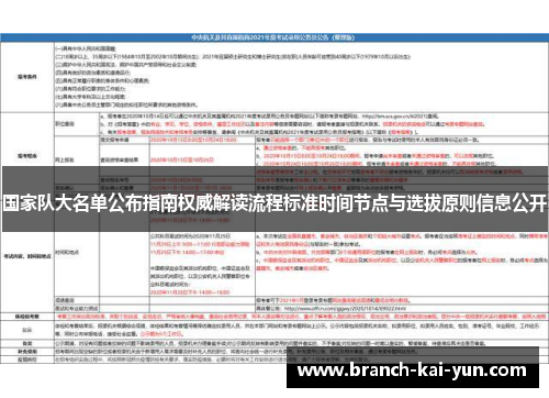国家队大名单公布指南权威解读流程标准时间节点与选拔原则信息公开