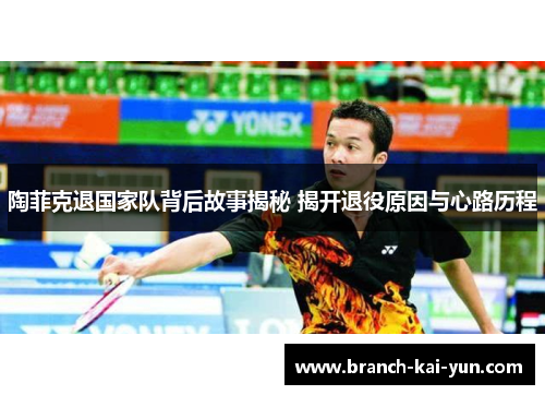 陶菲克退国家队背后故事揭秘 揭开退役原因与心路历程